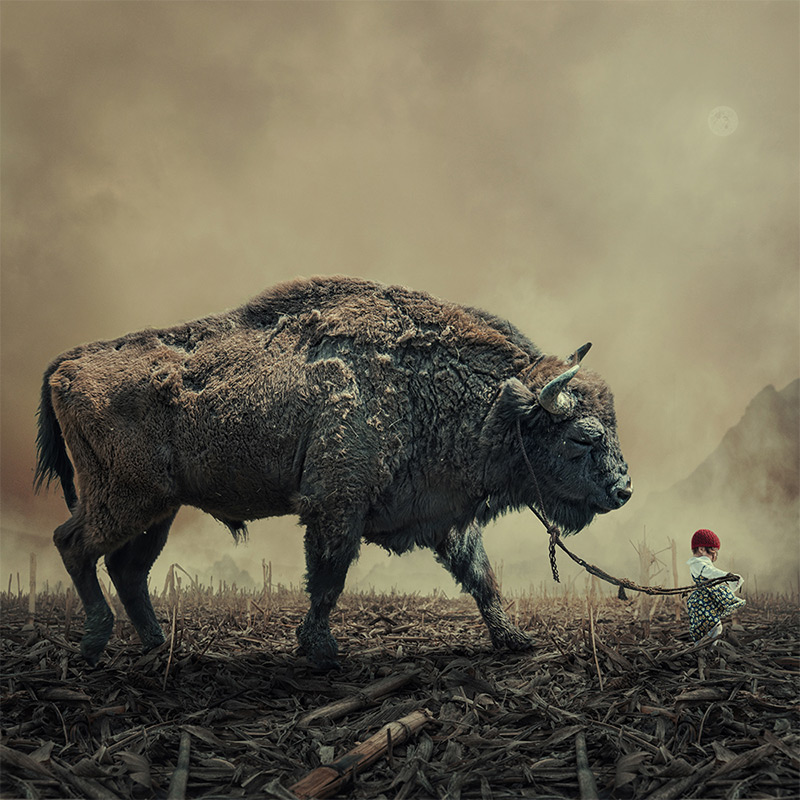 Caras Ionut surreal landscape
