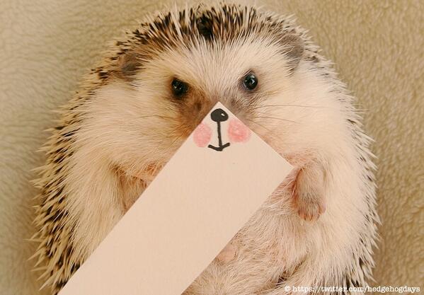 Hedgehog with handmade paper face