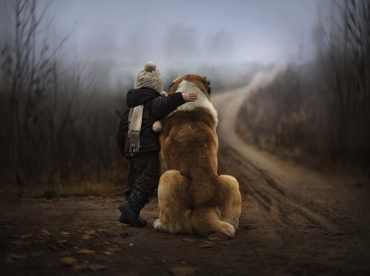 Elena Shumilova sons with farm animals in soft light