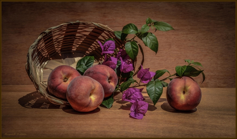 still-life20