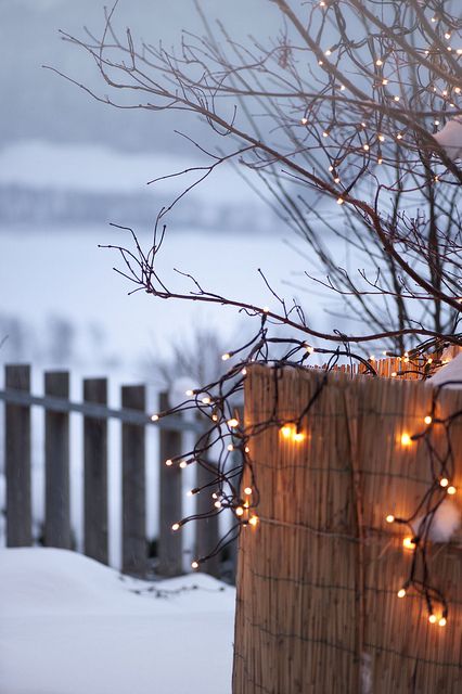 Snow-covered scene