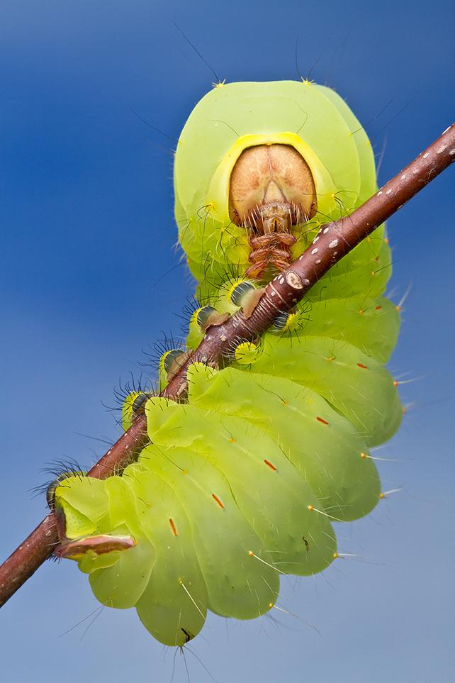 Smithsonian Magazine 10th Annual Photo Contest finalist image