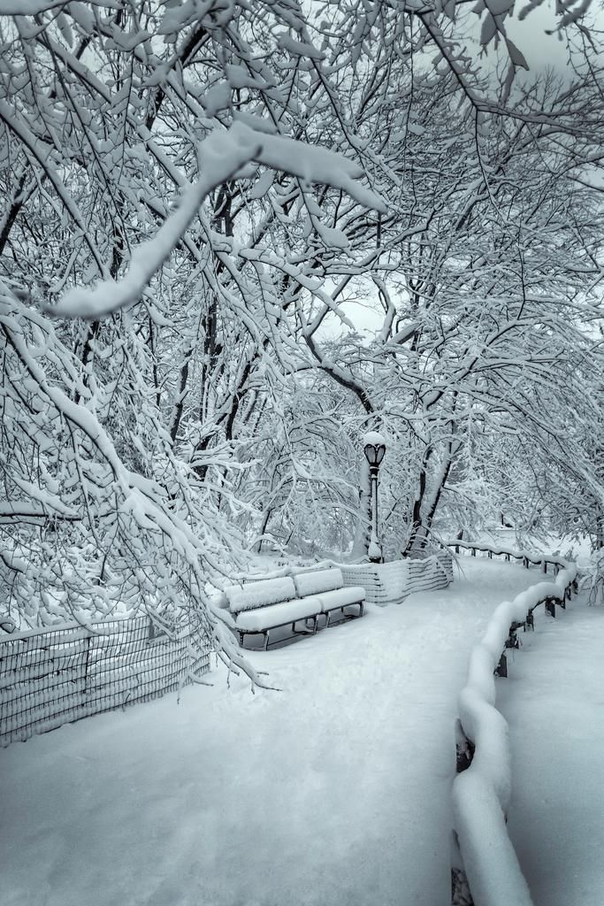 winterscapes33