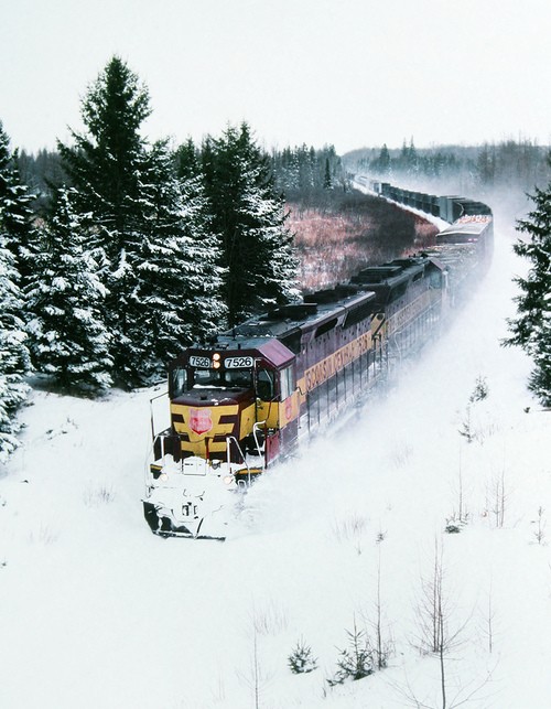 winter wonderland