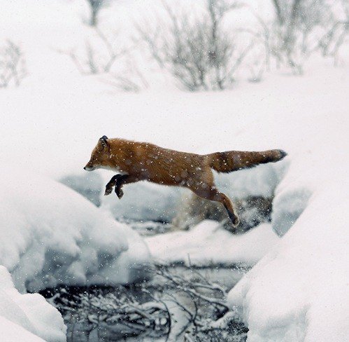 winterscapes29