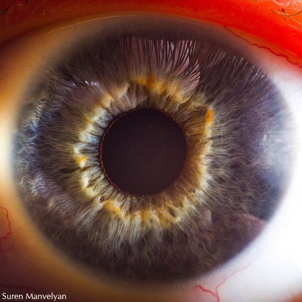 Macro photograph of a human eye iris by Suren Manvelyan