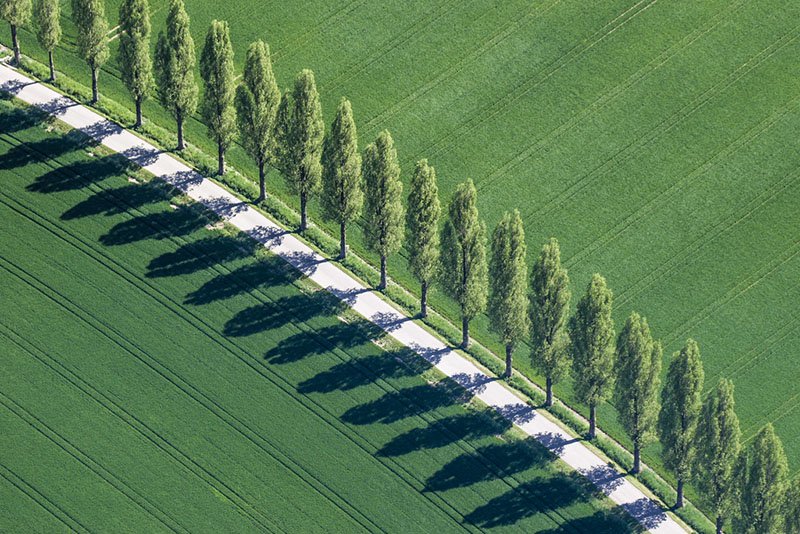Aerial archaeology photograph Klaus Leidorf
