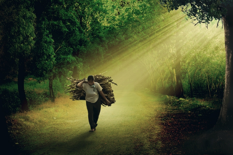 Sunbeam-focused photo art by Sukron Ma’mun