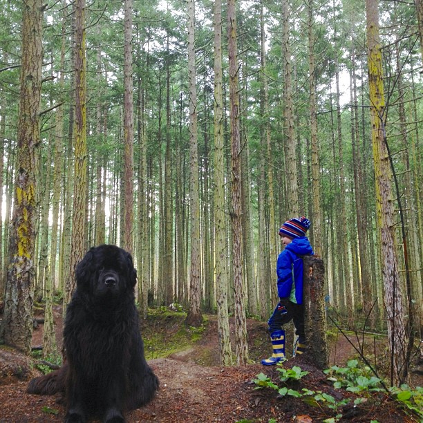 Julian with Max the Newfoundland