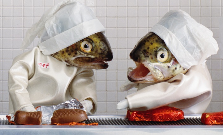 acbe fish heads in a staged interior