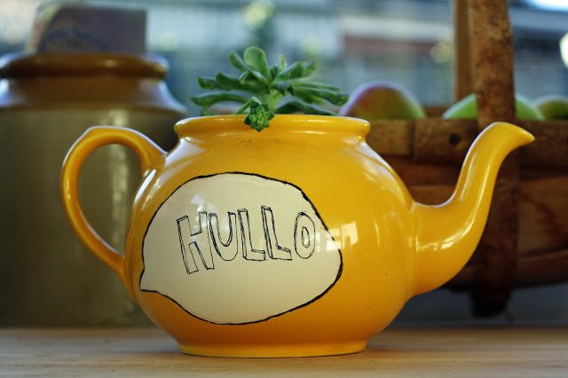 Yellow teapot planter with painted speech bubble