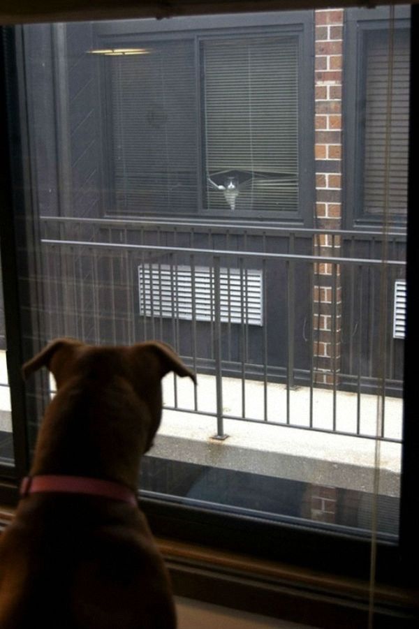 Photograph that reads like a short story