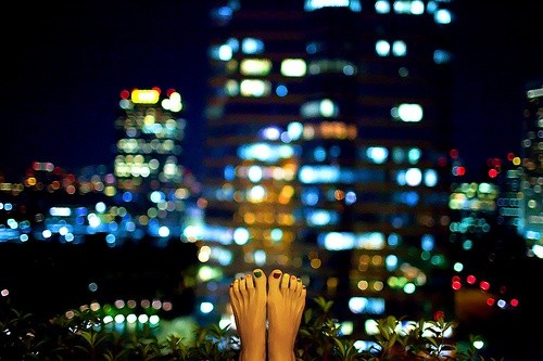 Warm-toned bokeh photography example