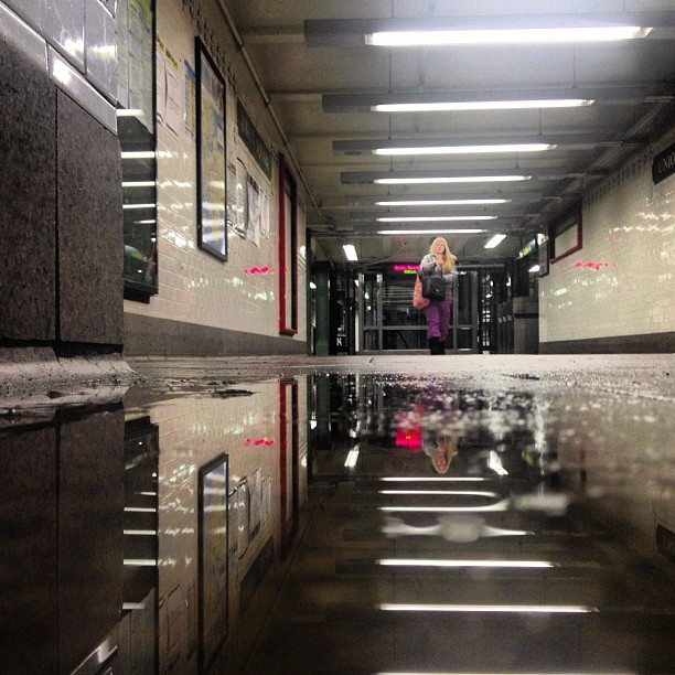 Puddlegram lights vtechvisual