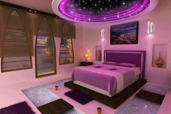 Purple lifestyle still