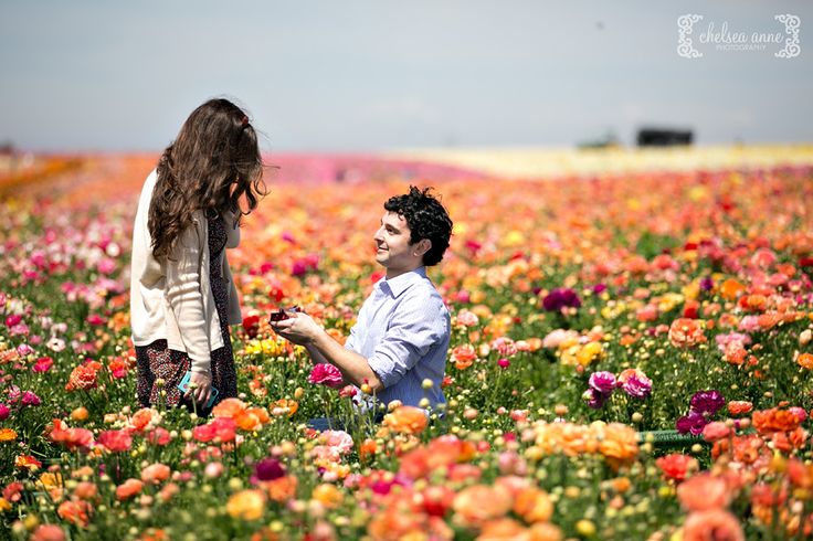Proposal in a colorful ranunculus flower field