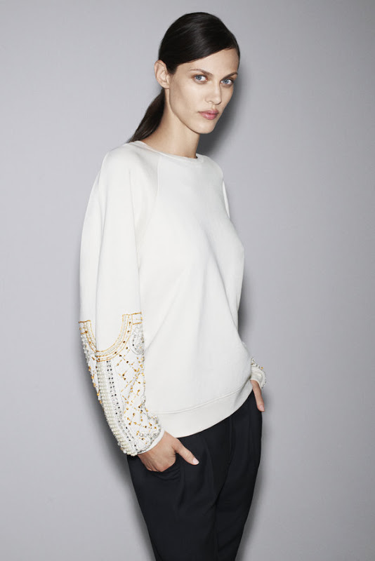 Zara 2012 velvet and leather mood