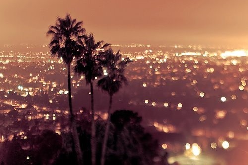 Soft circular bokeh highlights