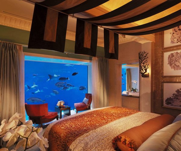 in-wall-aquariums09