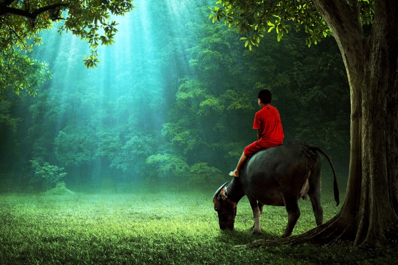 Village life photograph by Sukron Ma’mun