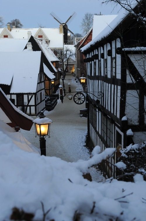 Snowy winter detail