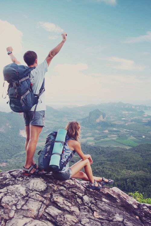 Travel companion in bright day
