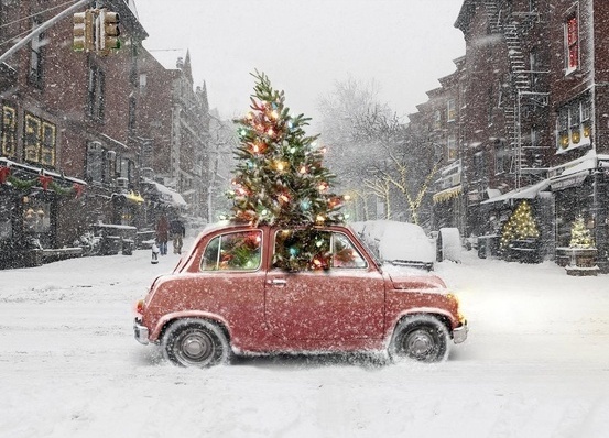 Snow-covered scenery