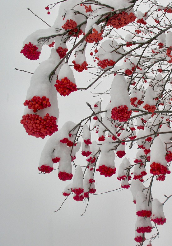 Winter interior atmosphere