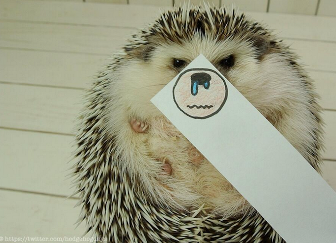Marutaro with hand-drawn silly face