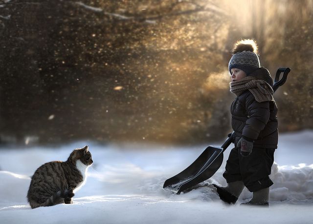 animals winter19