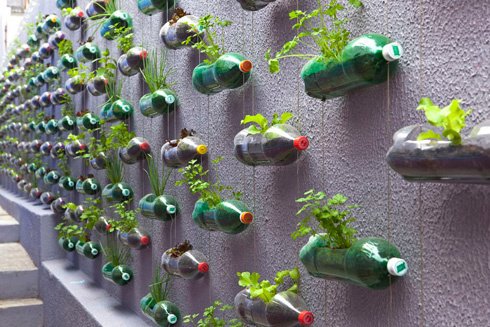 Bottle garden row