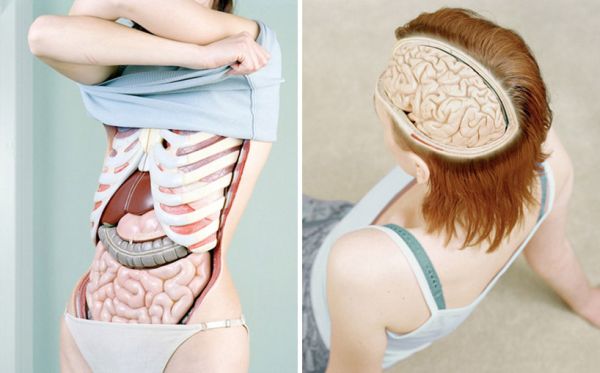 anatomy-portraits01 Elegant anatomical portrait study by Koen Hauser