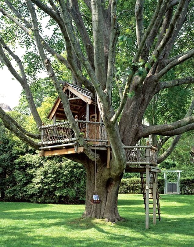 Tree house design in a wooded landscape