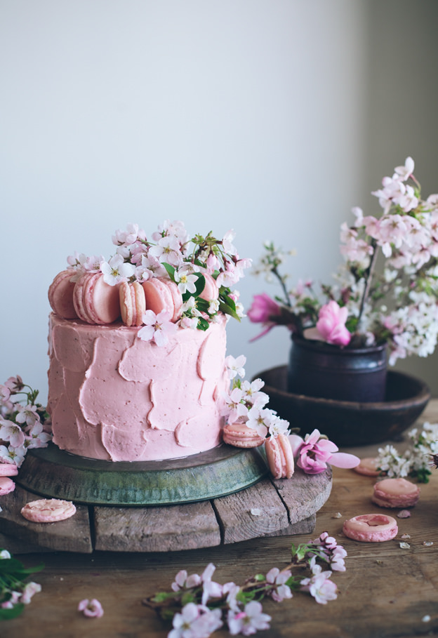 Chocolate dessert photograph