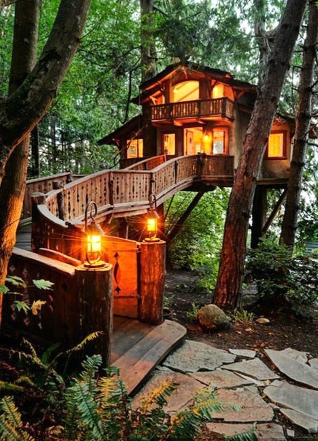 Elevated cabin with natural wood finishes
