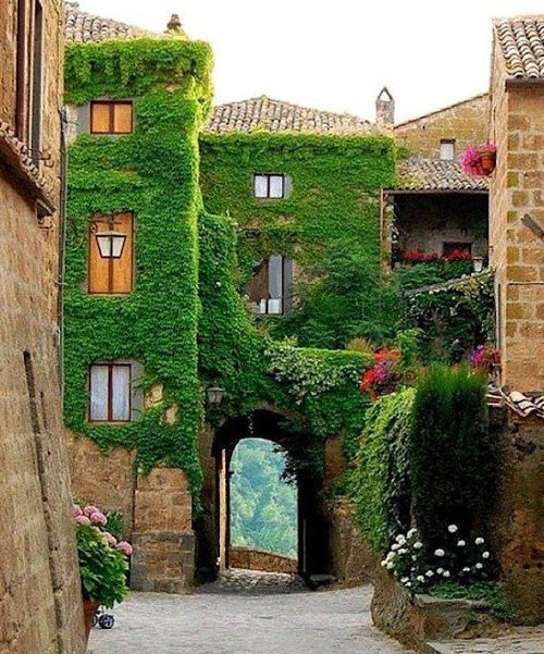 Ivy Arch, Provence, France Ivy Arch, Provence, France