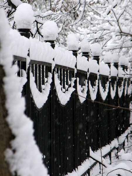 Winter charm landscape