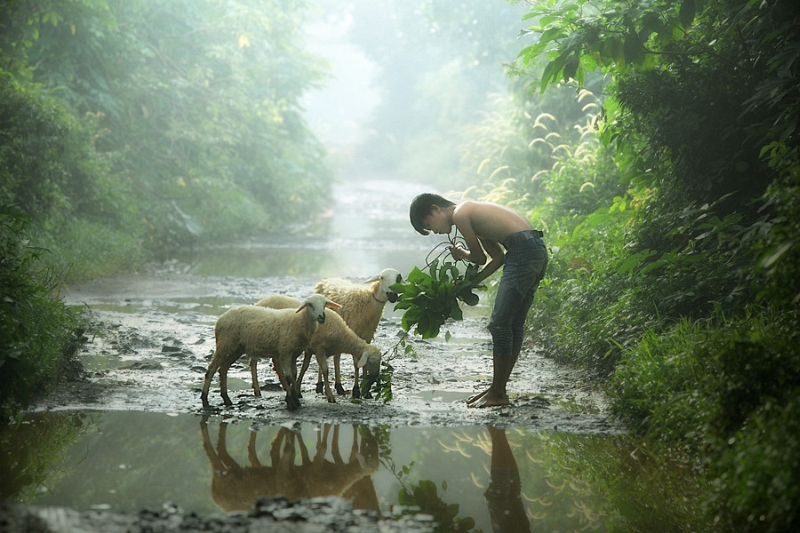 Dewan Irawan photograph closing the countryside series