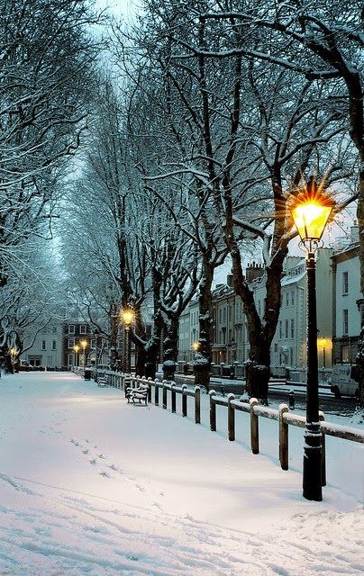 Charming winter photo