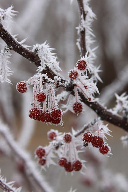winterscapes10