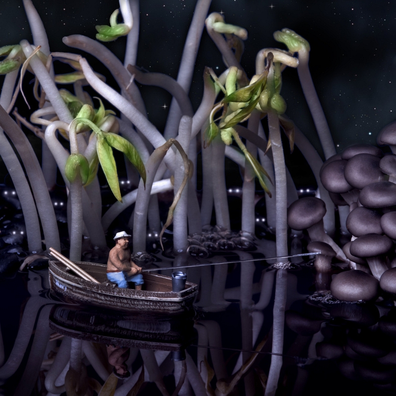 William Kass miniature world photography