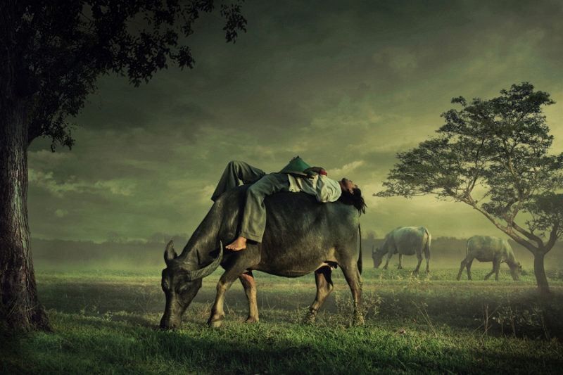 Village and landscape photography by Ipoenk Graphic