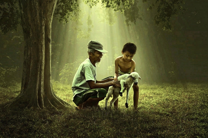 Dramatic natural light in a Sukron Ma’mun photograph