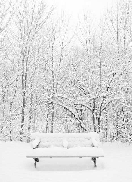 Cold-weather scenery