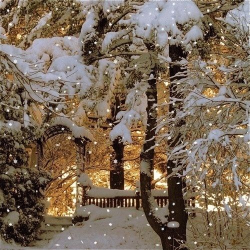 winterscapes30