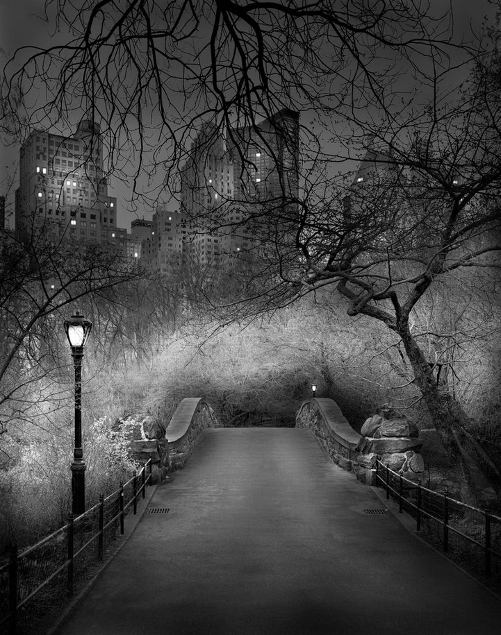 Central Park trees and path at night