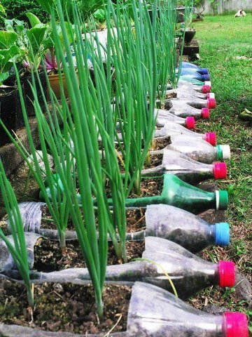 Garden bottle project