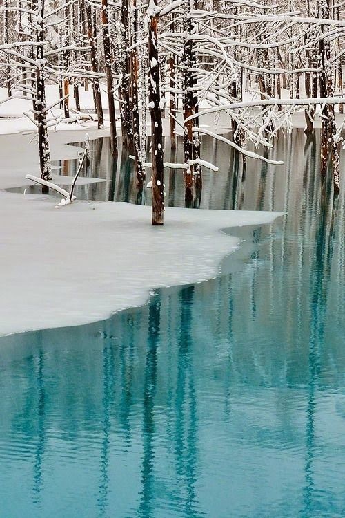 winterscapes26