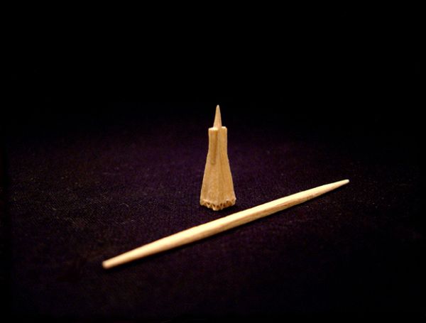 Detailed toothpick sculpture