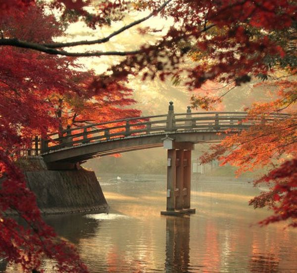 Autumn landscape with warm foliage